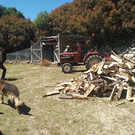 Chale Pouso Da Serra - Casas De Montanha Costilhao Buitenkant foto